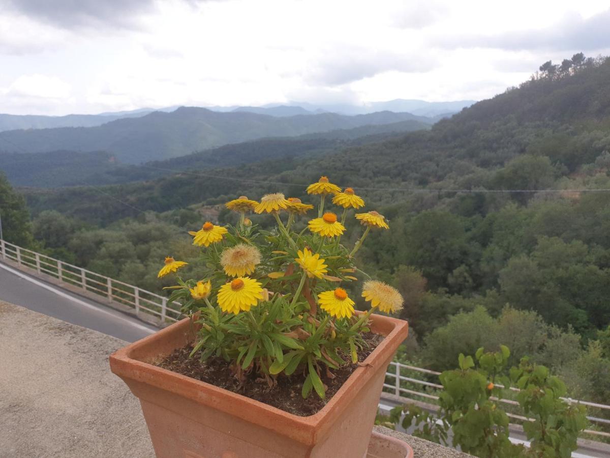 Bed & Breakfast Ca' Di Vissai Arnasco ภายนอก รูปภาพ