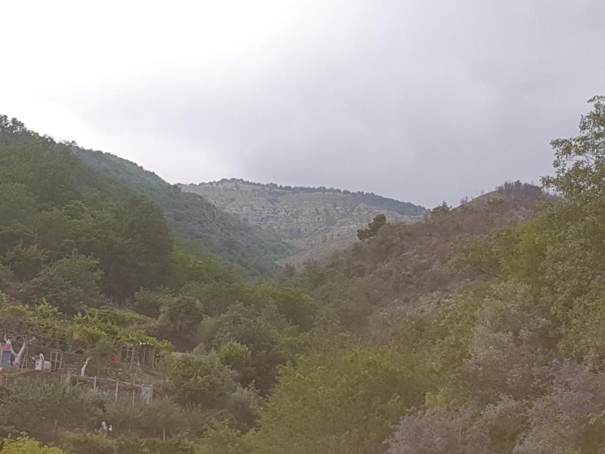 Bed & Breakfast Ca' Di Vissai Arnasco ภายนอก รูปภาพ