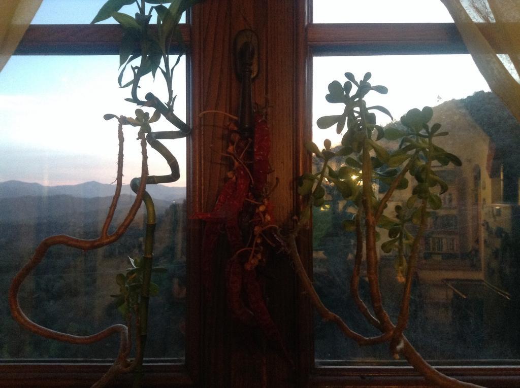 Bed & Breakfast Ca' Di Vissai Arnasco ภายนอก รูปภาพ