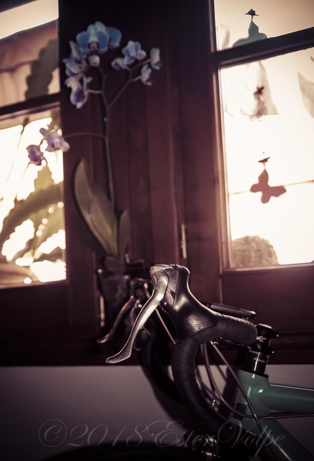 Bed & Breakfast Ca' Di Vissai Arnasco ภายนอก รูปภาพ
