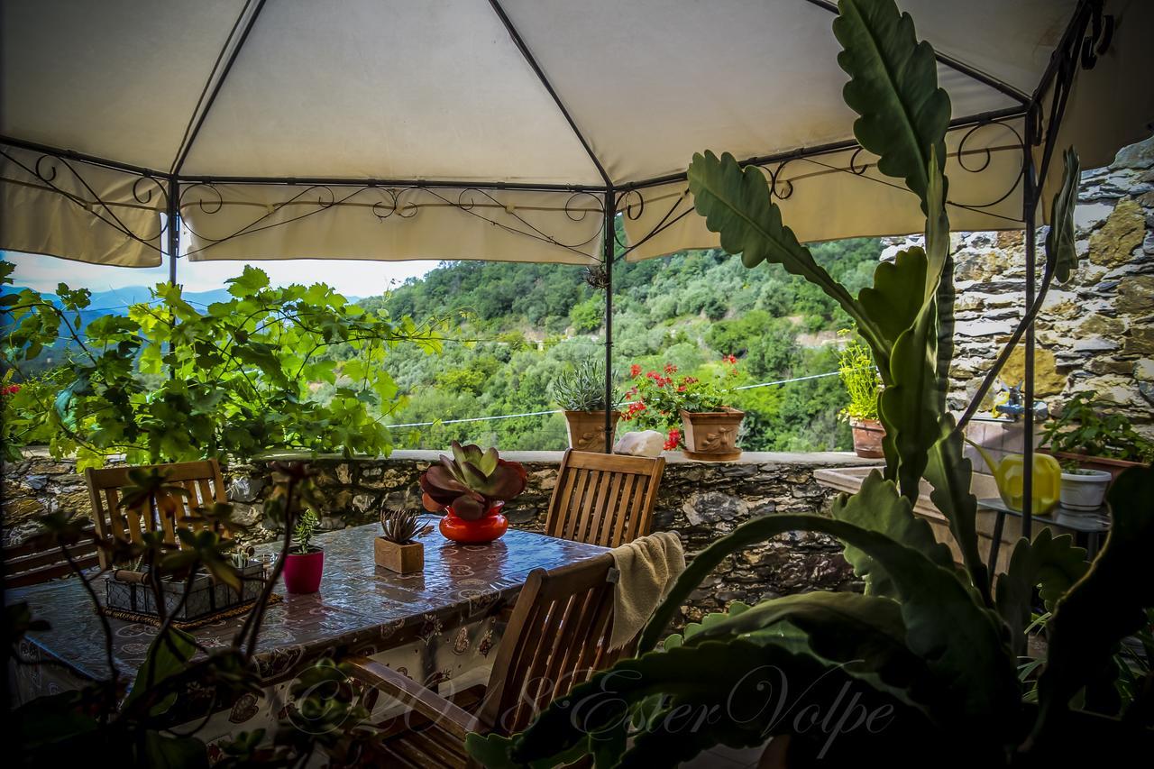 Bed & Breakfast Ca' Di Vissai Arnasco ภายนอก รูปภาพ