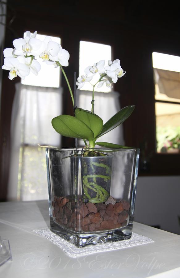 Bed & Breakfast Ca' Di Vissai Arnasco ภายนอก รูปภาพ